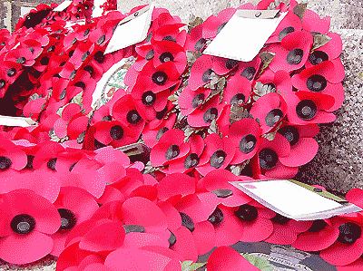 wreaths, Remembrance 2006, by Simon Chambers