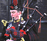 piper
