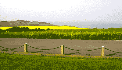 looking out to sea from the cliffs, over a field of rape, late spring, by Simon Chambers