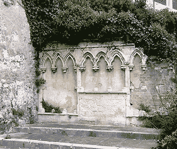 the rear wall, now grown over with bushes, by Simon Chambers
