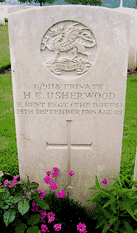 HC Usherwood, by Michelle and Andy Cooper