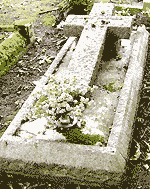 H Muller, grave, by Dean Sumner