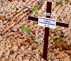 Field of Remembrance, unknown cross
