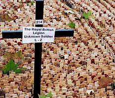 Field of Remembrance, unknown cross