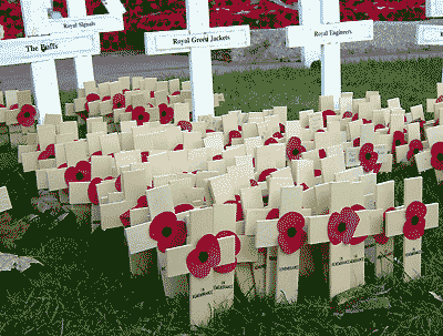 Field of Remembrance, by Simon Chambers